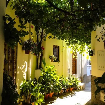 Appartement Casa Corasol, A Cozy, Comfy, 2br House- Panoramic View And Rooftop *